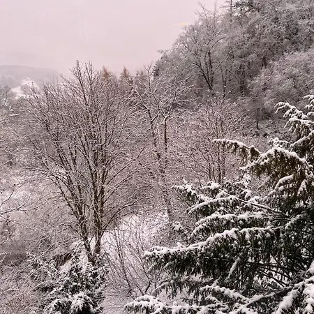 Waldseele