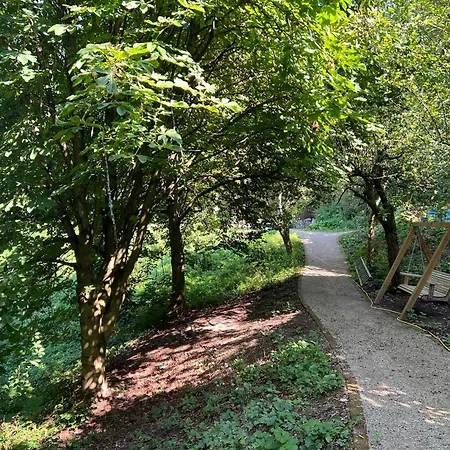 Waldseele Battenberg (Eder)