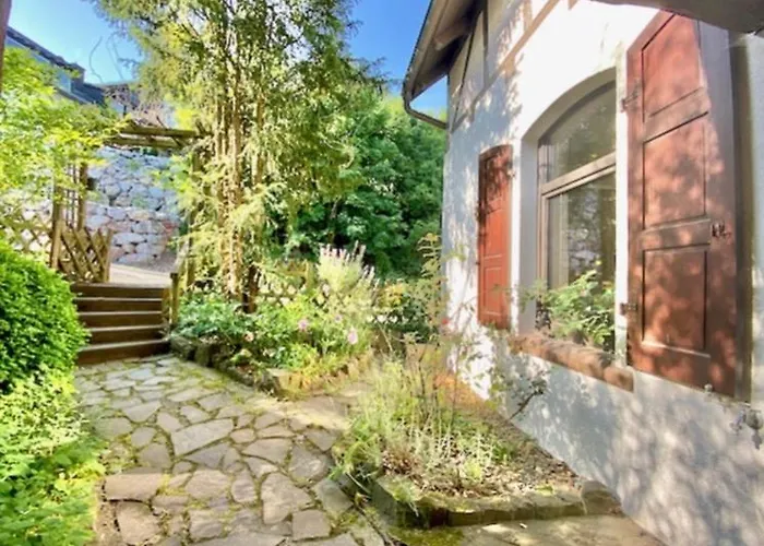 Waldseele Battenberg (Eder)